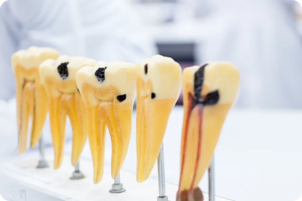 Soins esthétiques restaurateurs SNT, Dentistes à Vaires-sur-Marne